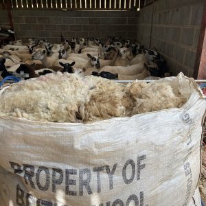 Wool - 1kg Bag