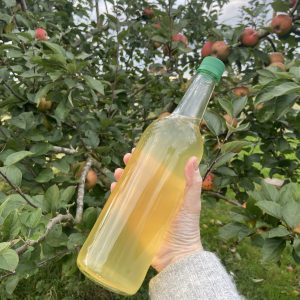 Apple Juice - 750ml Bottle